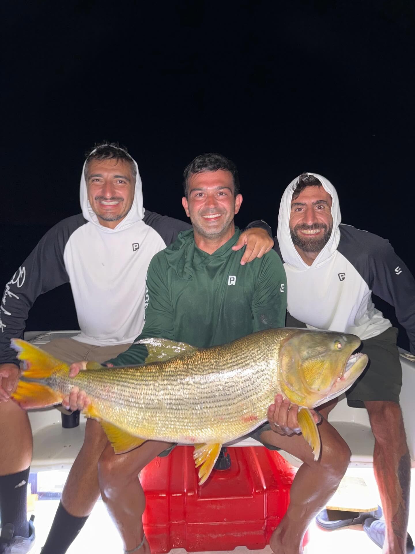 Noche de dorado